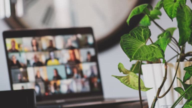 Attend expert-led webinars