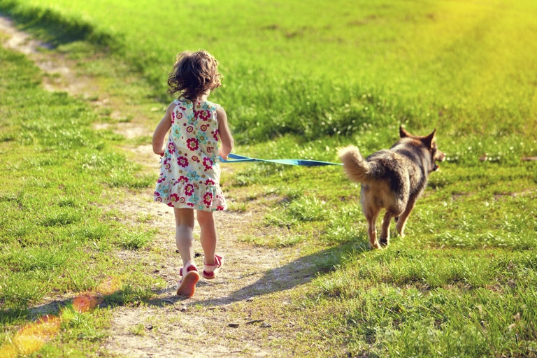 Nine-year-old's dog walking business idea goes viral