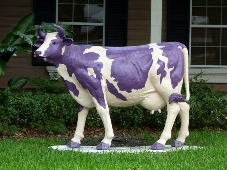 'Be a Purple Cow' and other marketing tips