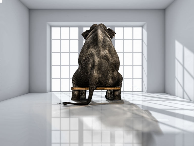 GDPR: The regulatory elephant in the room you need to be ready for